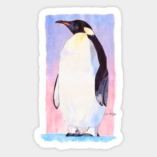 Penguin Sticker